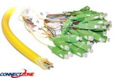 FOP-10248-SM-SCA-31M