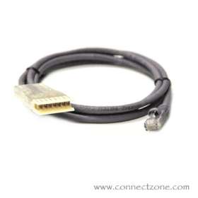 1 foot Purple Cat5e patch cord RJ45 plug - 110 connector

