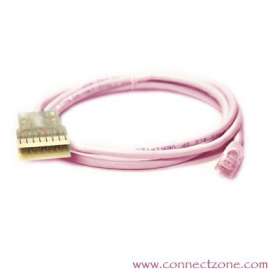1 foot Pink Cat5e patch cord RJ45 plug - 110 connector

