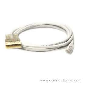 14 foot White Cat5e patch cord RJ45 plug - 110 connector

